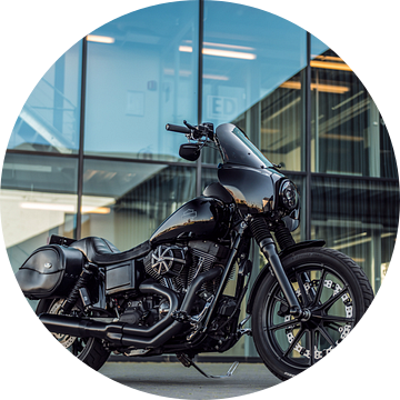 Harley Davidson Custom van Bas Fransen