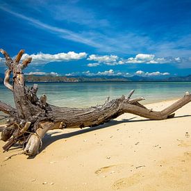 Kanawa, Indonesia by Jan Fritz