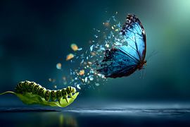 Metamorphose im Augenblick