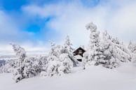 Winterhuisje van Daniela Beyer thumbnail