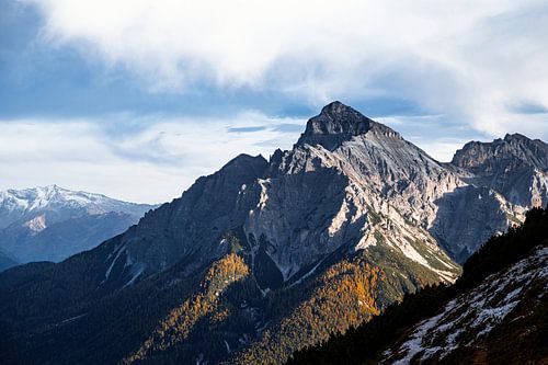 King of Austria and the Alps