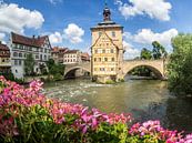 Gezicht op het oude stadhuis van Bamberg van Animaflora PicsStock thumbnail