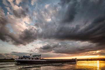 Naar de zon van Peter Bijsterveld