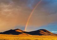 Ein Regenbogen in Nevada von Henk Meijer Photography Miniaturansicht