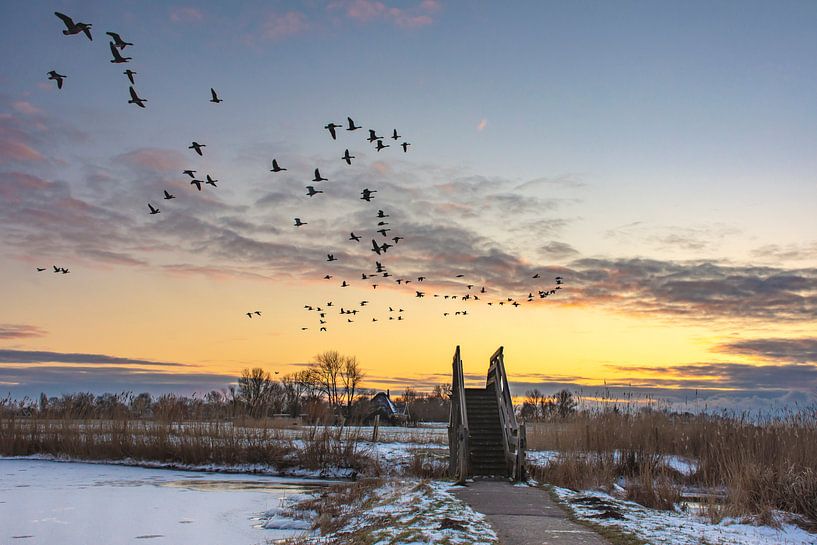 Wooden stairs the Kakelepost in Schagen. by Margreet Frowijn
