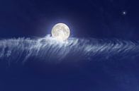 De Maan op een wolk van Corinne Welp thumbnail