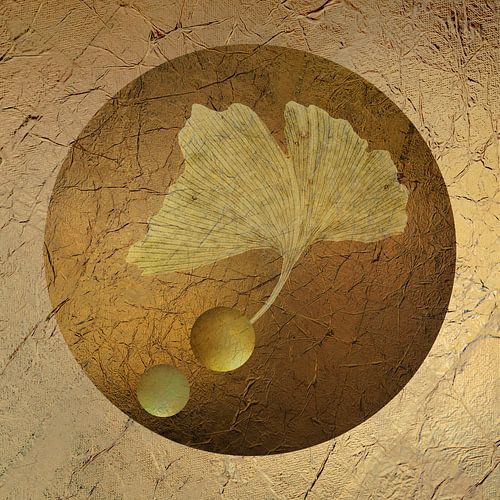 Playing Along. Ginkgo blad.