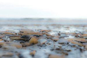 Strand Hoek van Holland von Eddy Westdijk