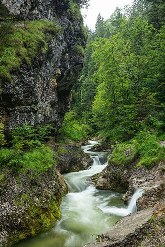 De wilde en romantische Weißbachklamm bij Inzell