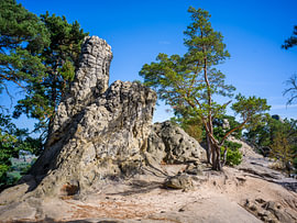 Harz – The Devil’s Wall on Hamburg’s coat of arms