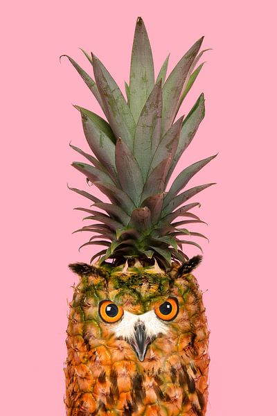 Ananuil by Elles Rijsdijk