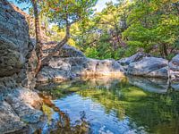 Mitten in der Natur fließt der Gokdere River
