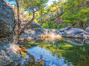 Amidst Nature Flowing Gokdere River