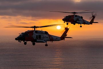 USCG Jayhawk's in actie boven de kust van San Diego, USA van Jimmy van Drunen