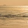 Steltlopers in de Waddenzee van Beschermingswerk voor aan uw muur