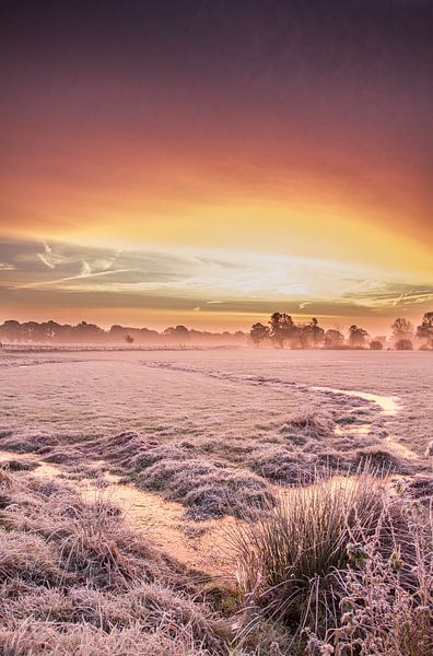 winter wonderland by leon mulder