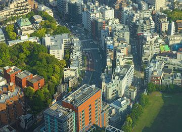 Paysage urbain de Tokyo (Japon) sur Marcel Kerdijk