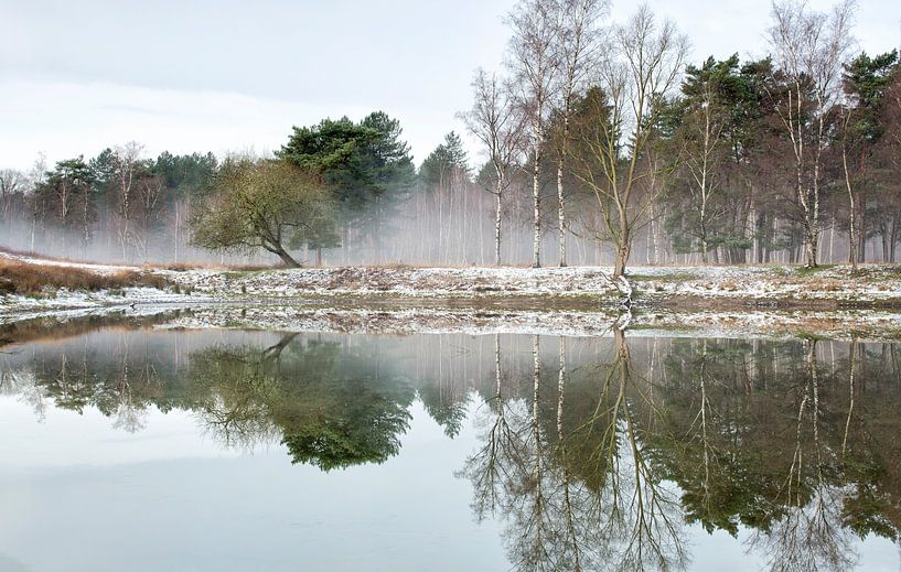 Matin brumeux sur le front de mer, Boswachterij Dorst, Pays-Bas par Sebastian Rollé - travel, nature & landscape photography