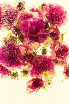 Kleine rozen in ijsgeel van Marc Heiligenstein