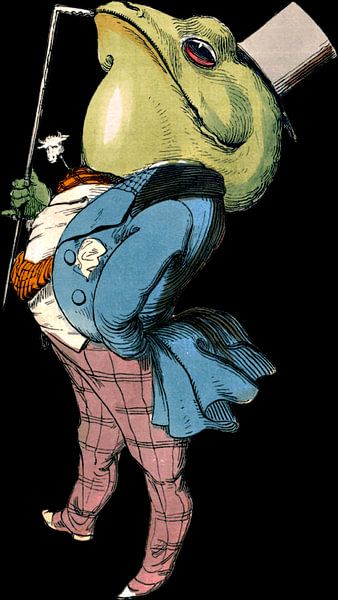 Frog by Redword Shop
