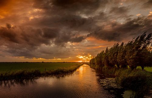 Staartje van de storm