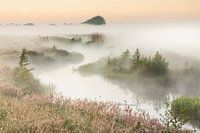 Hunze, Oostermoerschevaart, Hunzedal, spring, springtime, fog