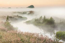 Hunze, Oostermoerschevaart, Hunzedal, spring, springtime, fog
