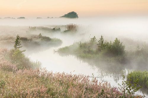 Hunze, Oostermoerschevaart, Hunzedal, spring, springtime, fog