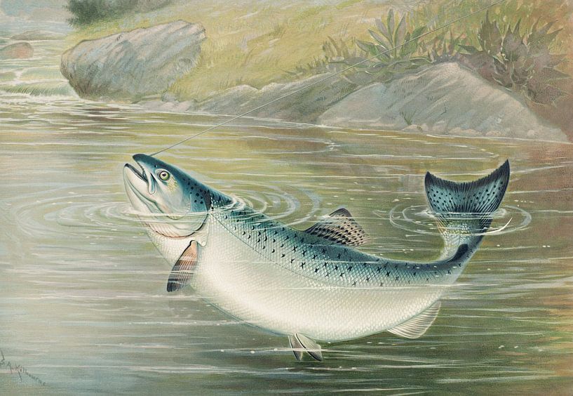 The California salmon, Samuel Kilbourne by Masterful Masters
