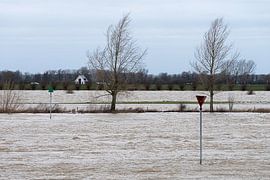 Flooded floodplain by Jim van Iterson