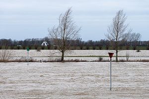 Plaine inondée sur Jim van Iterson