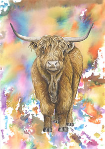 Bunter schottischer Highlander