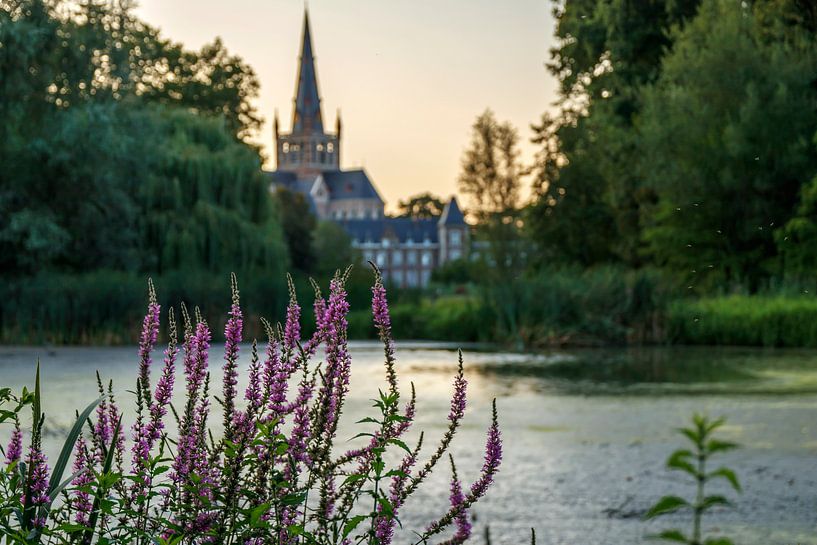 Église et forêt 1 par Luna Verbrugghe