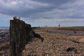 De zee bij Moddergat