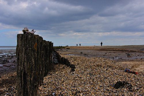 De zee bij Moddergat
