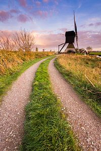 Chemin vers le moulin sur Sander Poppe