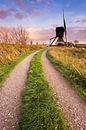 Path to the mill by Sander Poppe thumbnail