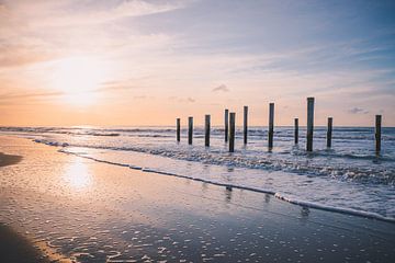 Strand van Petten van Thomas Paardekooper