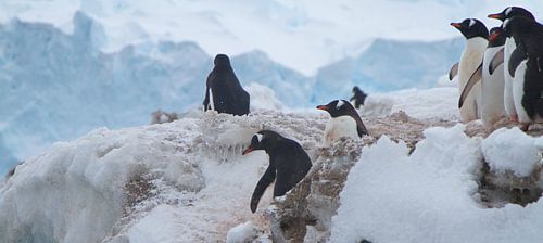 gevaarlijk afdaling naar zee