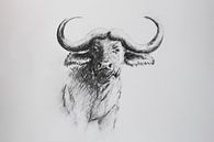 Buffalo in shades of grey - charcoal drawing by Emiel de Lange thumbnail