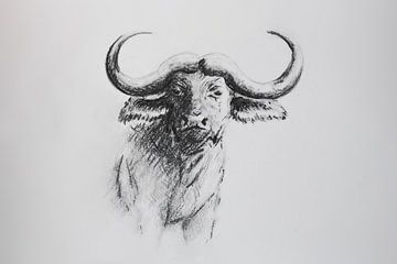 Buffel in grijstint - houtskool tekening