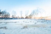 Abstract Winter landscape