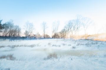 Abstract Winter landschap van Ilse Dijkstra