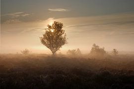 Sunrise in the mist van Esther's Photos