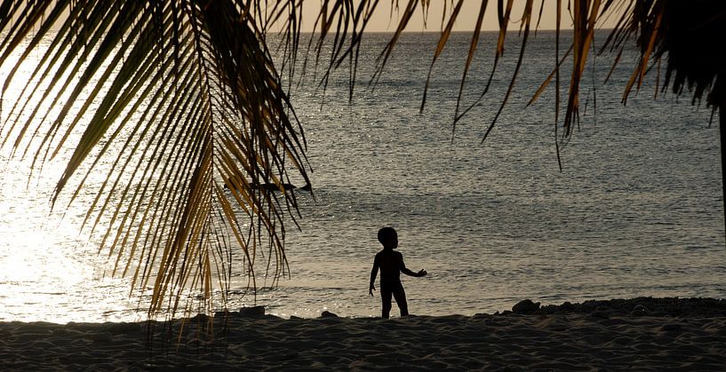 Sunset at Curacao by Carolina Vergoossen