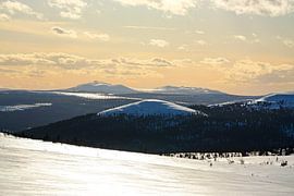Blick übers Hochplateau von Schweden nach Norwegen von Leo Schindzielorz
