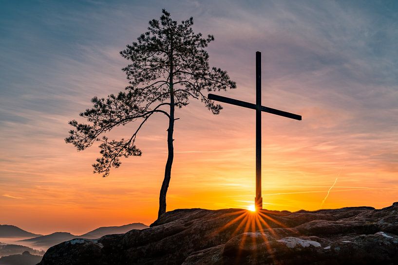 Sonnenstern am Rötzenberg von Christian Klös
