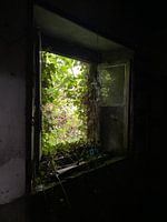 An abandoned farm