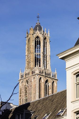 De Dom van Utrecht vanafv de Nieuwegracht gezien (kleur)