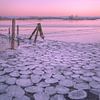 Extraordinary natural phenomenon: ice pancakes by Moetwil en van Dijk - Fotografie